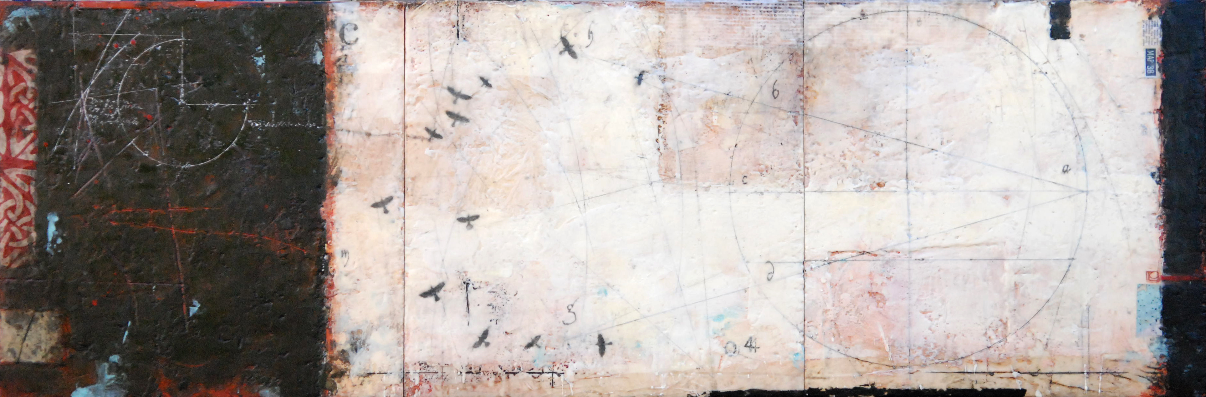 imsendingbirds2_16x48