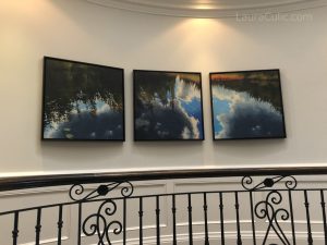 Three paintings of wetlands by Artist Laura Culic hanging on wall